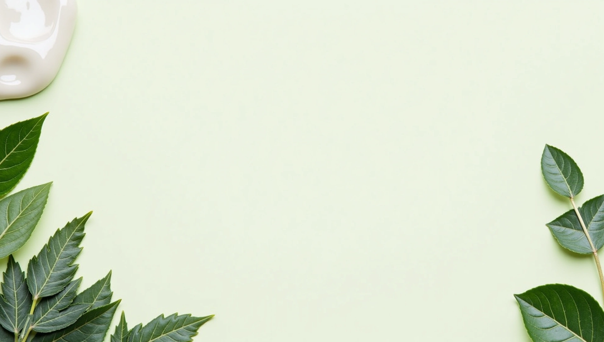 Tranquil natural scene with soft light